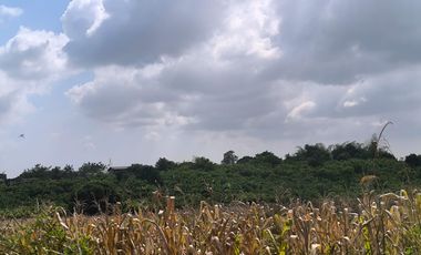 Terreno en Venta, Calceta, Manabi, MaxB