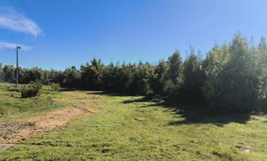 Venta de Terreno 7 h. Coronel