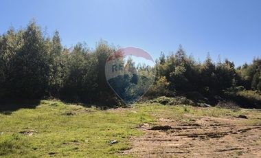 Venta de Terreno 7 h. Coronel