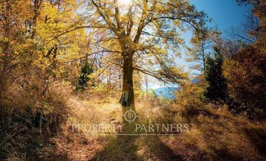 Terreno con mágico entorno natural,Curarrehue.