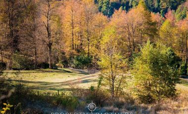 Terreno con mágico entorno natural,Curarrehue.