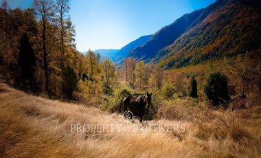 Terreno con mágico entorno natural,Curarrehue.