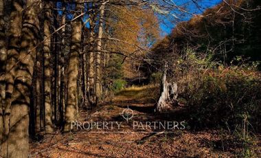 Terreno con mágico entorno natural,Curarrehue.
