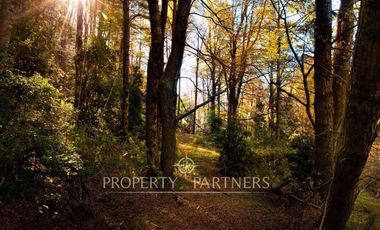 Terreno con mágico entorno natural,Curarrehue.