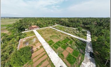 Dekat jalan Daendels, YIA 20 Menit, Prospek Cemerlang Investasi