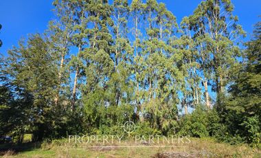 Espectacular parcela de 5.388 m2 en primera línea con acceso a lago a minutos del centro de Puerto Varas