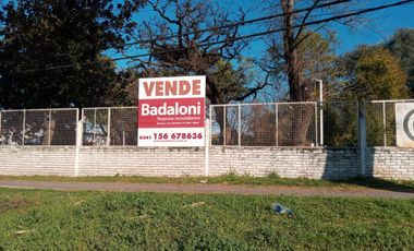 Galpón en Zona Industrial