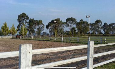Venta y Renta de Rancho en Jilotepec