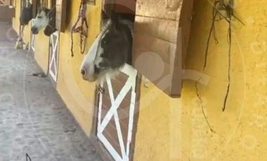 Venta y Renta de Rancho en Jilotepec