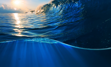 Oficina en Renta en Veracruz Fracc. Costa de Oro.