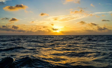 Oficina en Renta en Veracruz Fracc. Costa de Oro.