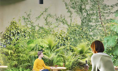 Departamentos en venta a estrenar Col. Roma