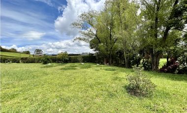 Venta de Lote en Llanogrande