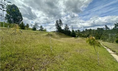 Venta de Lote en El Retiro Pantanillo