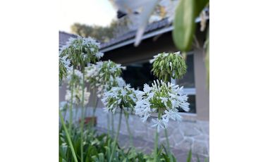 CHALET SIERRA DE LOS PADRES -  RITA 56