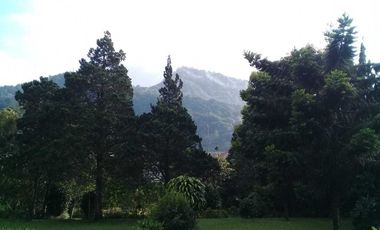 Dijual Villa di Jl. Raya Puncak - Gadog, Ciloto, Cipanas, Cianjur, Puncak, Jawa Barat