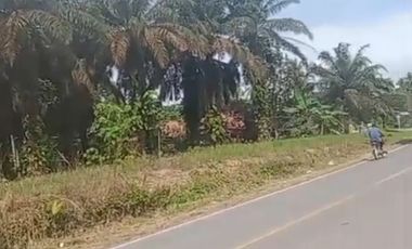 Tanah As1 Senawar Bayung Lencir dekat Pintu Tol