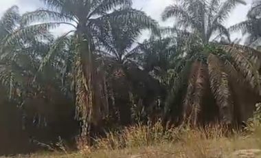 Tanah As1 Senawar Bayung Lencir dekat Pintu Tol