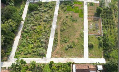 Ngombol Purworejo dekat pantai, 500 jl Daendels. YIA 20 Menit