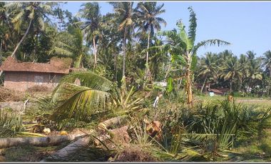 Kulonprogo, Dekat jalan Nasioanl. Lingkungan Asri,3 KT 1 KM