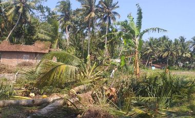 Kulonprogo, utara YIA 10 Menit. Lingkungan Pedesaan dekat Kota