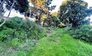 Parcela en Venta en Av. Centenario - Condell