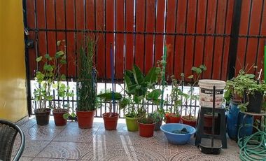 Local Comercial en Venta en Poblacion Cancha Rayada 17 norte 7 Oriente
