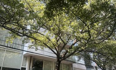 Polanco Renta Exclusivo departamento con balcon