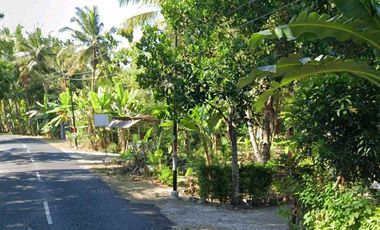 JUAL TANAH DI JALAN UTAMA PLERET BENDUNGAN WATES KULONPROGO