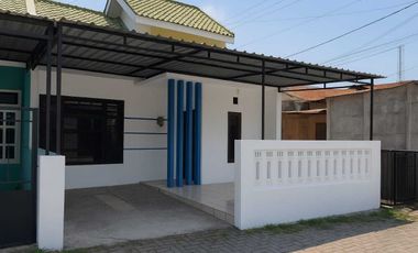 Rumah disewakan