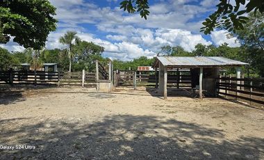 ¡Excelente Rancho en venta! Sucila, Yucatán.