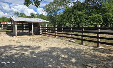 ¡Excelente Rancho en venta! Sucila, Yucatán.