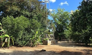 ¡Excelente Rancho en venta! Sucila, Yucatán.