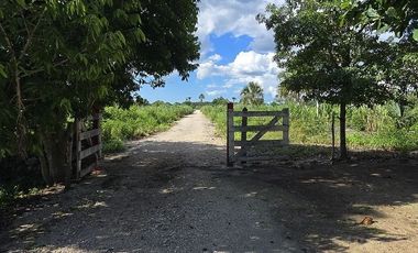 ¡Excelente Rancho en venta! Sucila, Yucatán.
