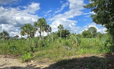 ¡Excelente Rancho en venta! Sucila, Yucatán.