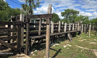 ¡Excelente Rancho en venta! Sucila, Yucatán.