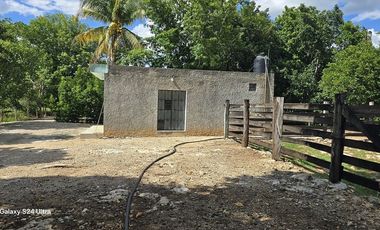 ¡Excelente Rancho en venta! Sucila, Yucatán.