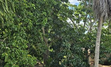 ¡Excelente Rancho en venta! Sucila, Yucatán.