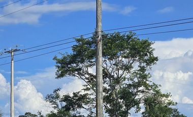 ¡Excelente Rancho en venta! Sucila, Yucatán.