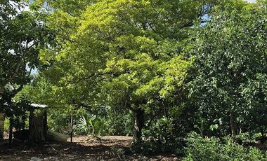 ¡Excelente Rancho en venta! Sucila, Yucatán.