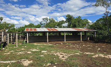 ¡Excelente Rancho en venta! Sucila, Yucatán.