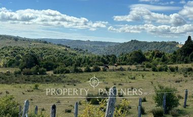 Oportunidad de inversión, campo con 1.700 m de orilla del Río Pescado, Los Muermos