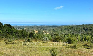 Oportunidad de inversión, campo con 1.700 m de orilla del Río Pescado, Los Muermos
