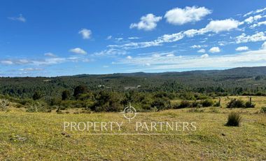 Oportunidad de inversión, campo con 1.700 m de orilla del Río Pescado, Los Muermos