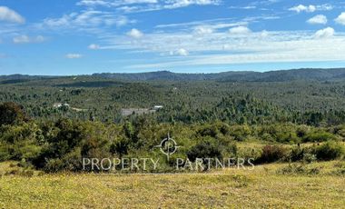 Oportunidad de inversión, campo con 1.700 m de orilla del Río Pescado, Los Muermos