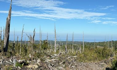 Oportunidad de inversión, campo con 1.700 m de orilla del Río Pescado, Los Muermos