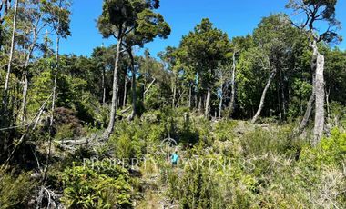 Oportunidad de inversión, campo con 1.700 m de orilla del Río Pescado, Los Muermos