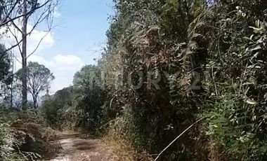 Lote ideal para hacer un lugar Holístico y agradable Glamping