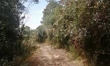 Lote ideal para hacer un lugar Holístico y agradable Glamping