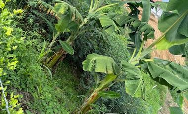 VENTA de LOTES en PEREIRA